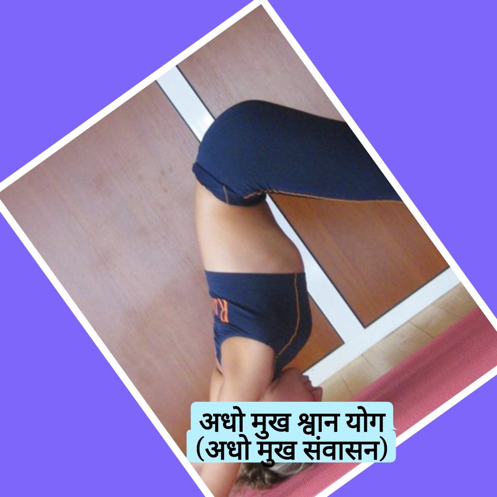 Downward Facing Dog yoga (Adho Mukha Svanasana)
